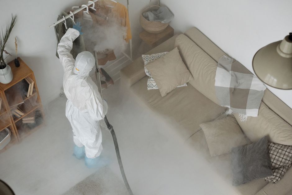 Professional carpet cleaning using advanced steam technology